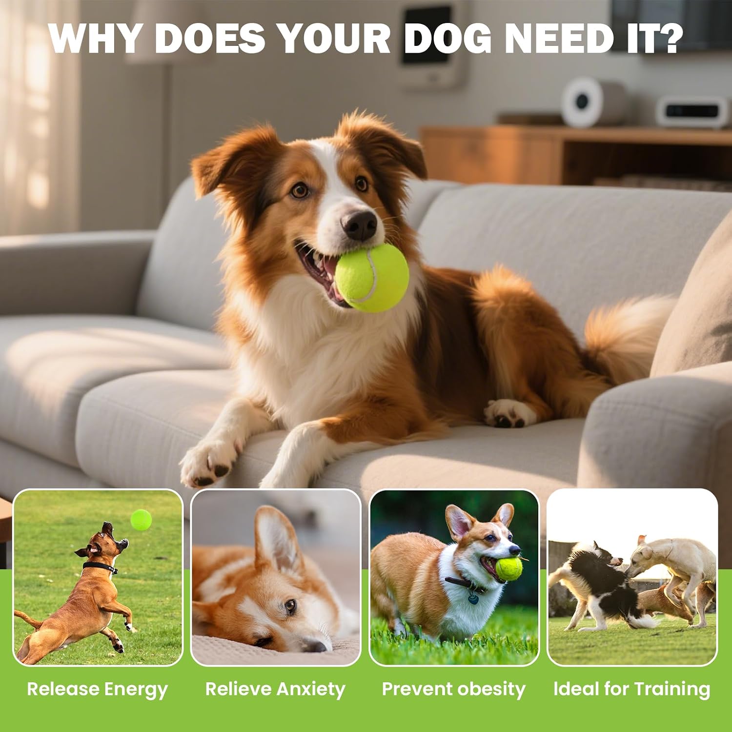 FURWEY Tennis Balls, 12/24/36/80 Pack Bulk Tennis Balls Pressureless Tennis Ball, Come with Mesh Bag for Easy Transport,Pet Dog Playing Balls, Good for Beginner Training Ball - Image 8