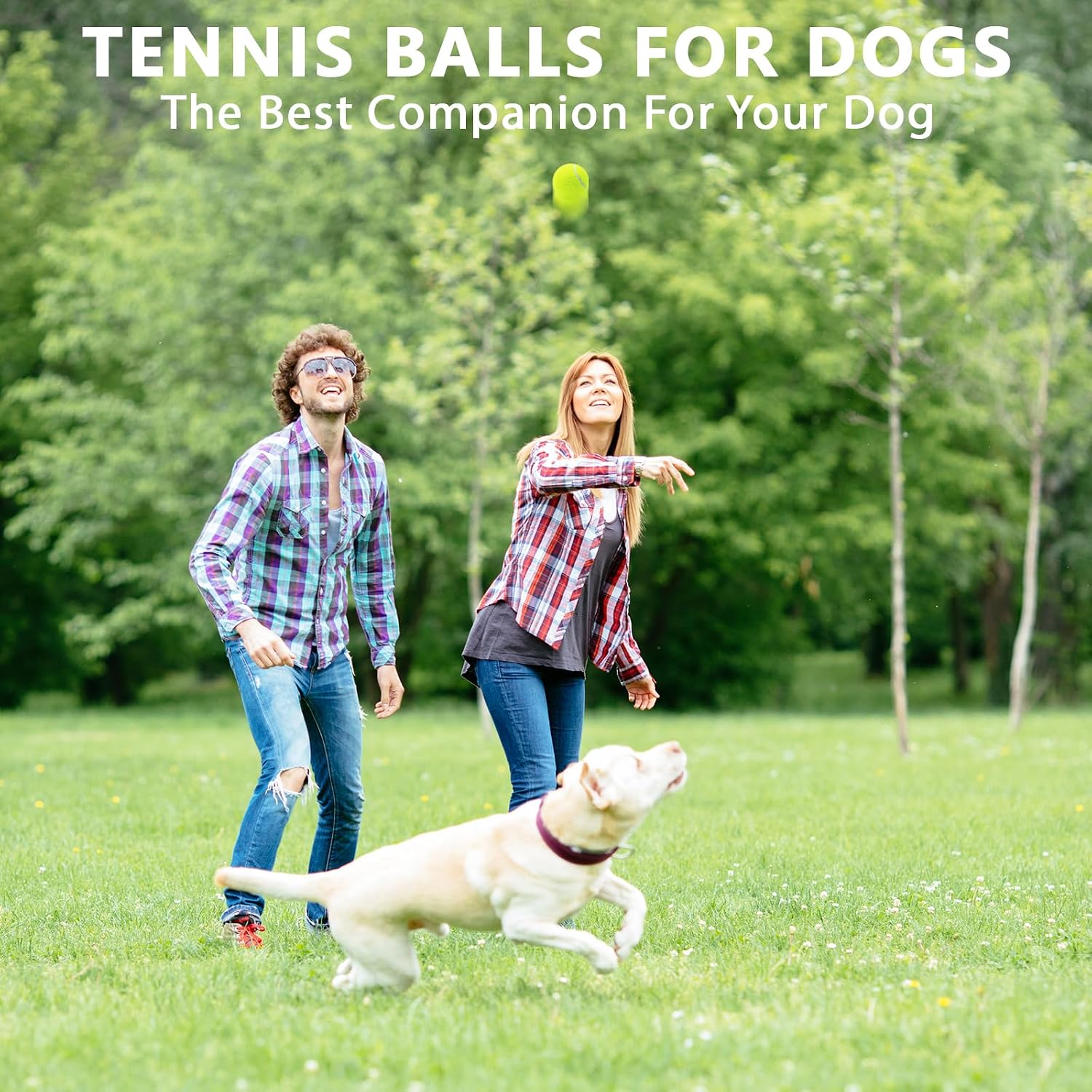 Tennis Balls,8/18/40/90 Pack Training Tennis Balls Practice Balls with Mesh Bag for Easy Transport, Pet Dog Playing Balls, fit for Beginner Training Ball - Image 6