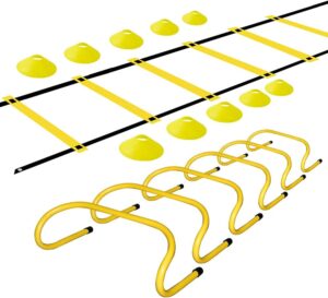 TNZMART Agility Ladder and Disc Con...