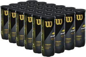 WILSON US Open Tennis Balls –...