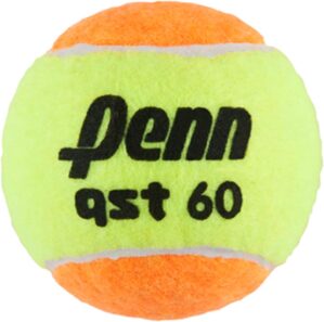 Penn QST 60 Tennis Balls – Yo...