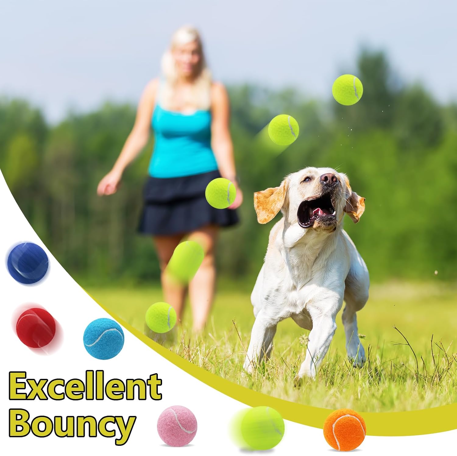 Swingers Squeaky Tennis Balls for Dogs,2.5 inch Training Tennis Balls,Exercise Ball for Pet Dog with Mesh Carry Bag Easy to Transport (Multicolor, 6 Pack) - Image 3