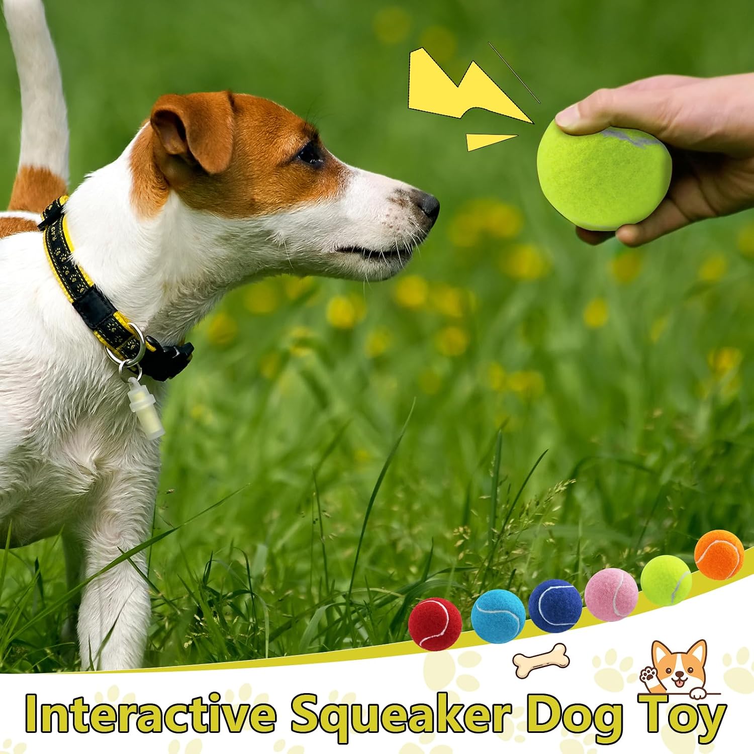 Swingers Squeaky Tennis Balls for Dogs,2.5 inch Training Tennis Balls,Exercise Ball for Pet Dog with Mesh Carry Bag Easy to Transport (Multicolor, 6 Pack) - Image 5
