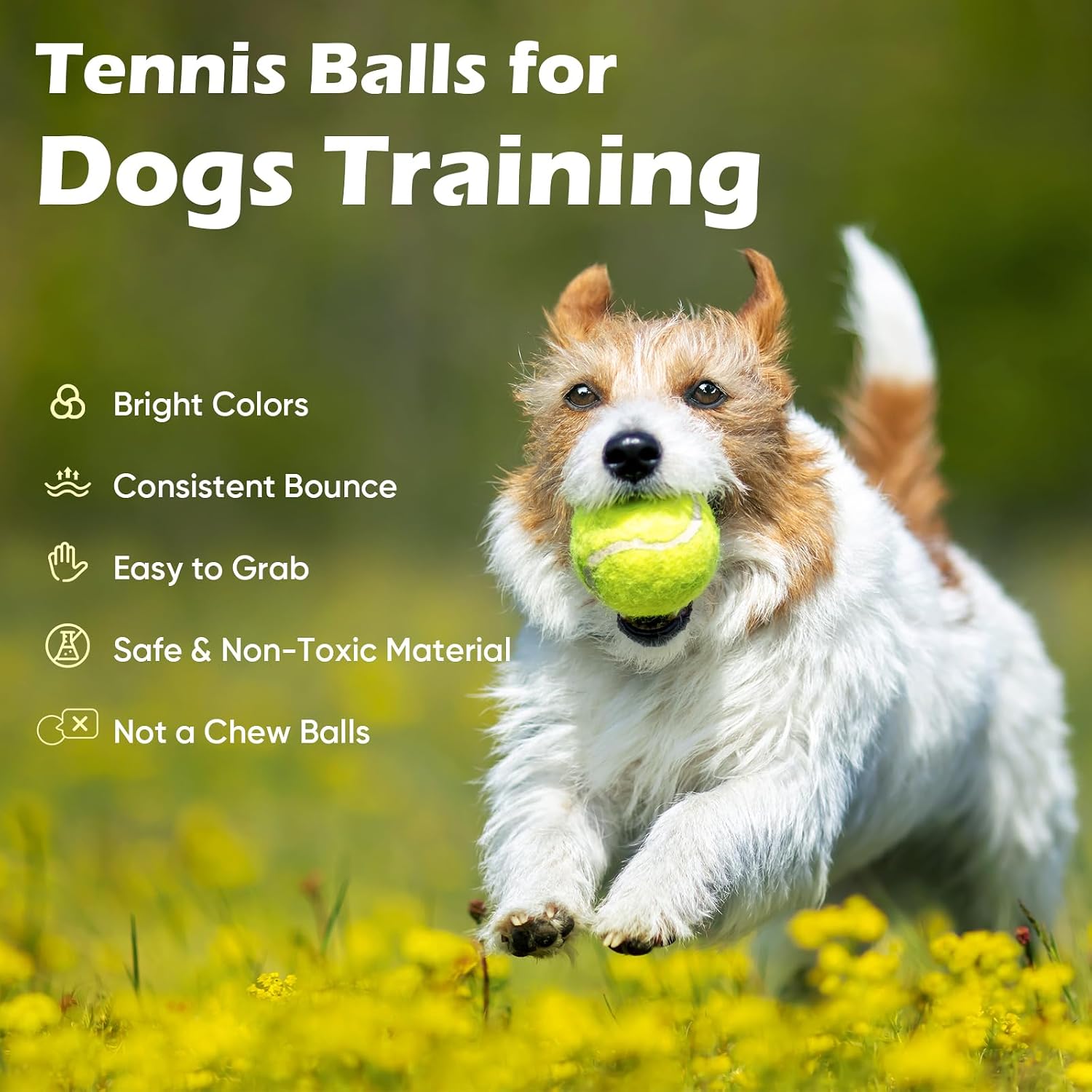 Treeroot 16/30/40/60/80 Pcs Tennis Balls, High Elasticity Tennis Balls Bulk, Comes with a Portable Mesh Bag, Tennis Ball for Dogs, Suitable for Beginner Training Ball, Durable & Bounce - Image 8