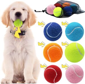 Swingers Squeaky Tennis Balls for D...