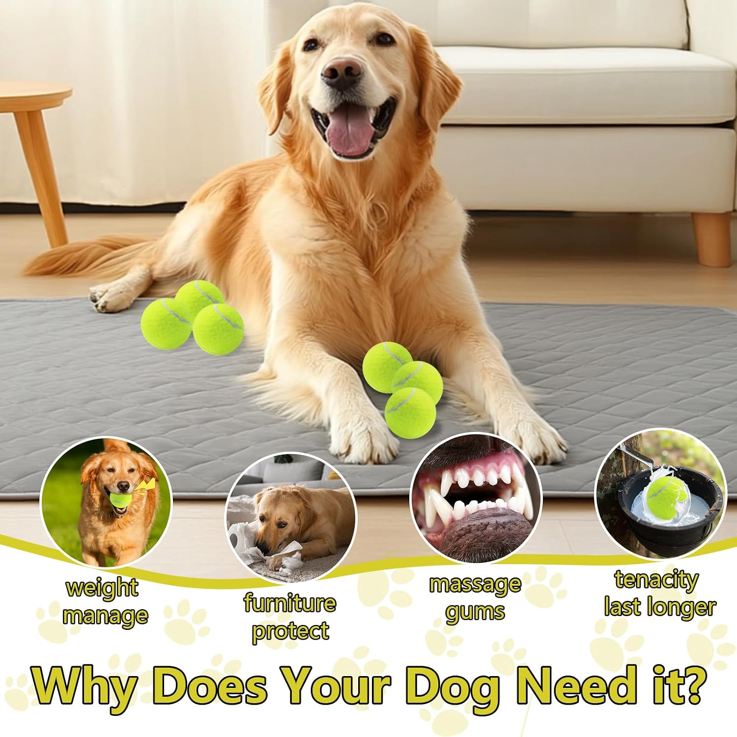 Swingers Squeaky Tennis Balls for Dogs,2.5 inch Training Tennis Balls,Exercise Ball for Pet Dog with Mesh Carry Bag Easy to Transport (Multicolor, 6 Pack) - Image 6