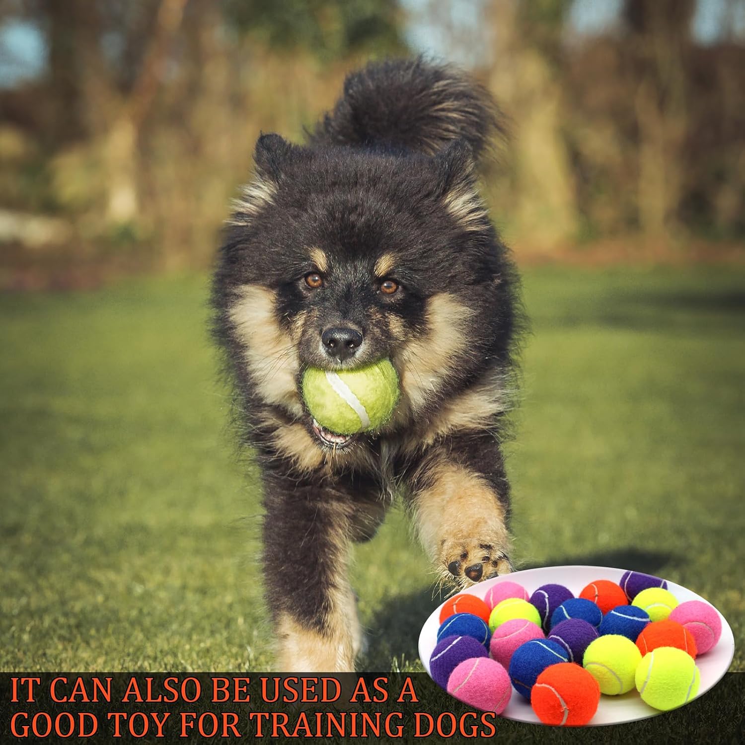 Swingers Tennis Balls,Training Exercise Balls for Pet Dog, High Elasticity Practice Tennis Balls for Beginner, with Mesh Carry Bag Easy to Transport - Image 6