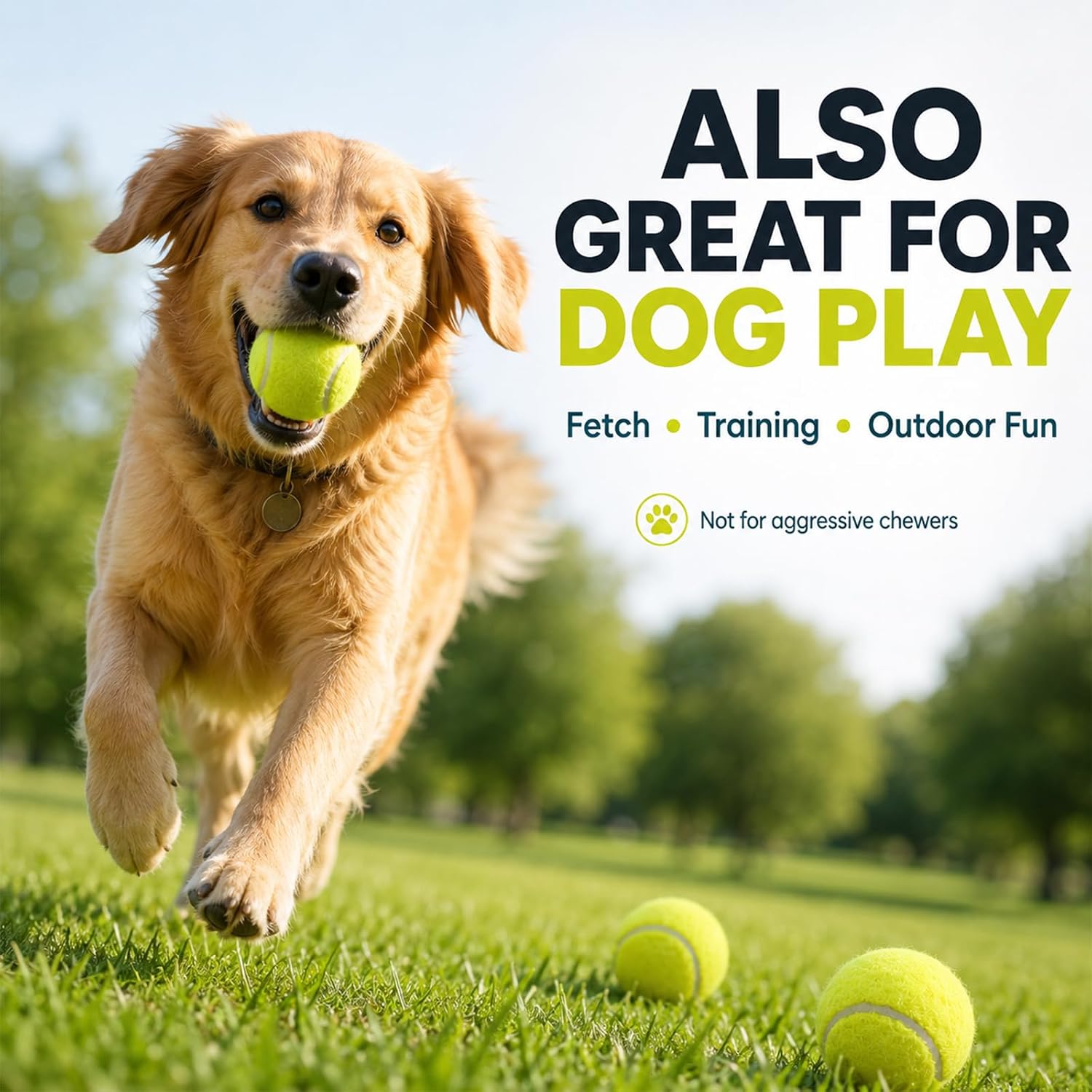 INSUM Bulk Tennis Balls, 12 Pack Extra Duty Practice Balls with Mesh Bag | High Bounce Rubber Core, Soft Felt, Beginner Practice, Dog Fetch Training, Outdoor Play - Image 9