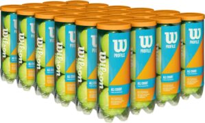 Wilson Profile All Court Tennis Bal...