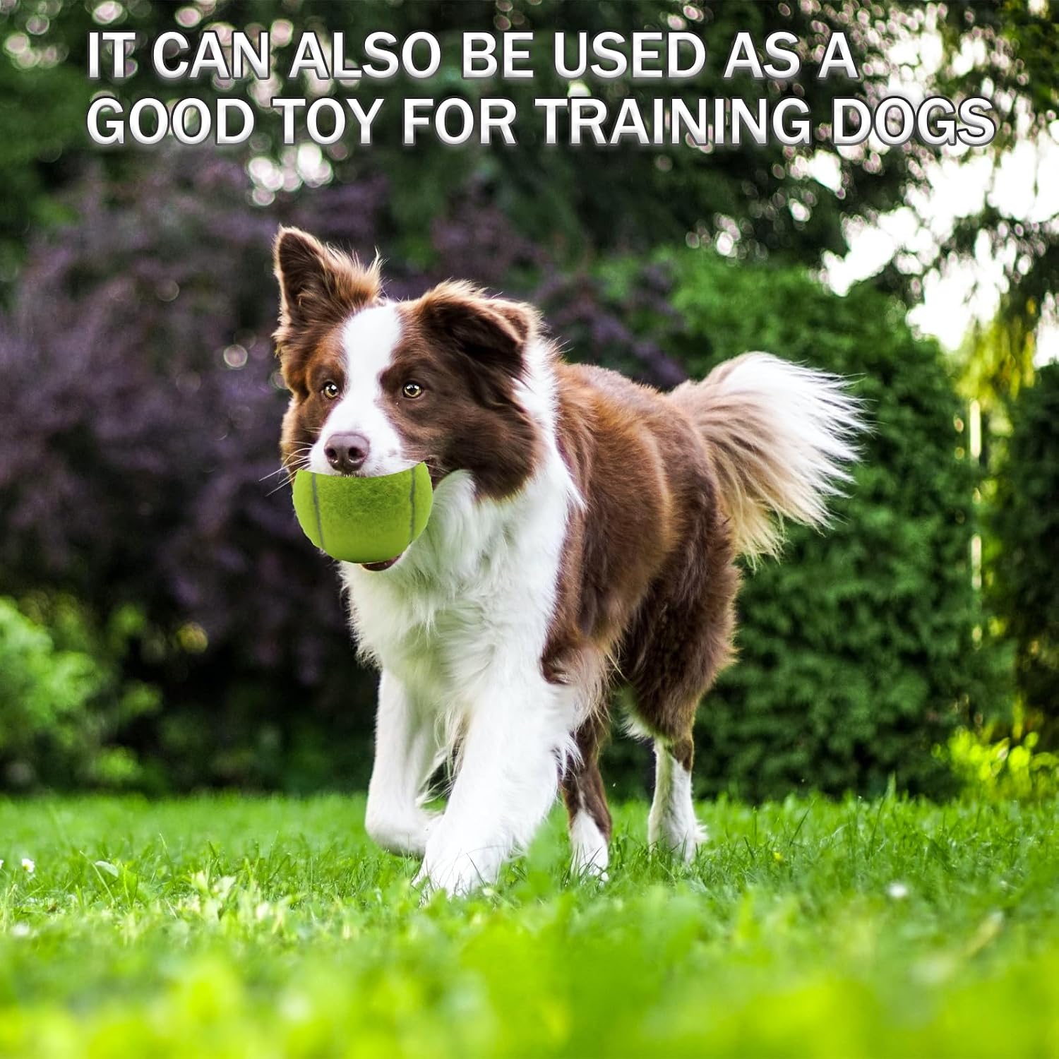 SHYUJAJIE Tennis Balls, 6 Pack Training Tennis Balls,High Elasticity Practice Balls for Beginner, Playing Balls for Dogs - Image 4