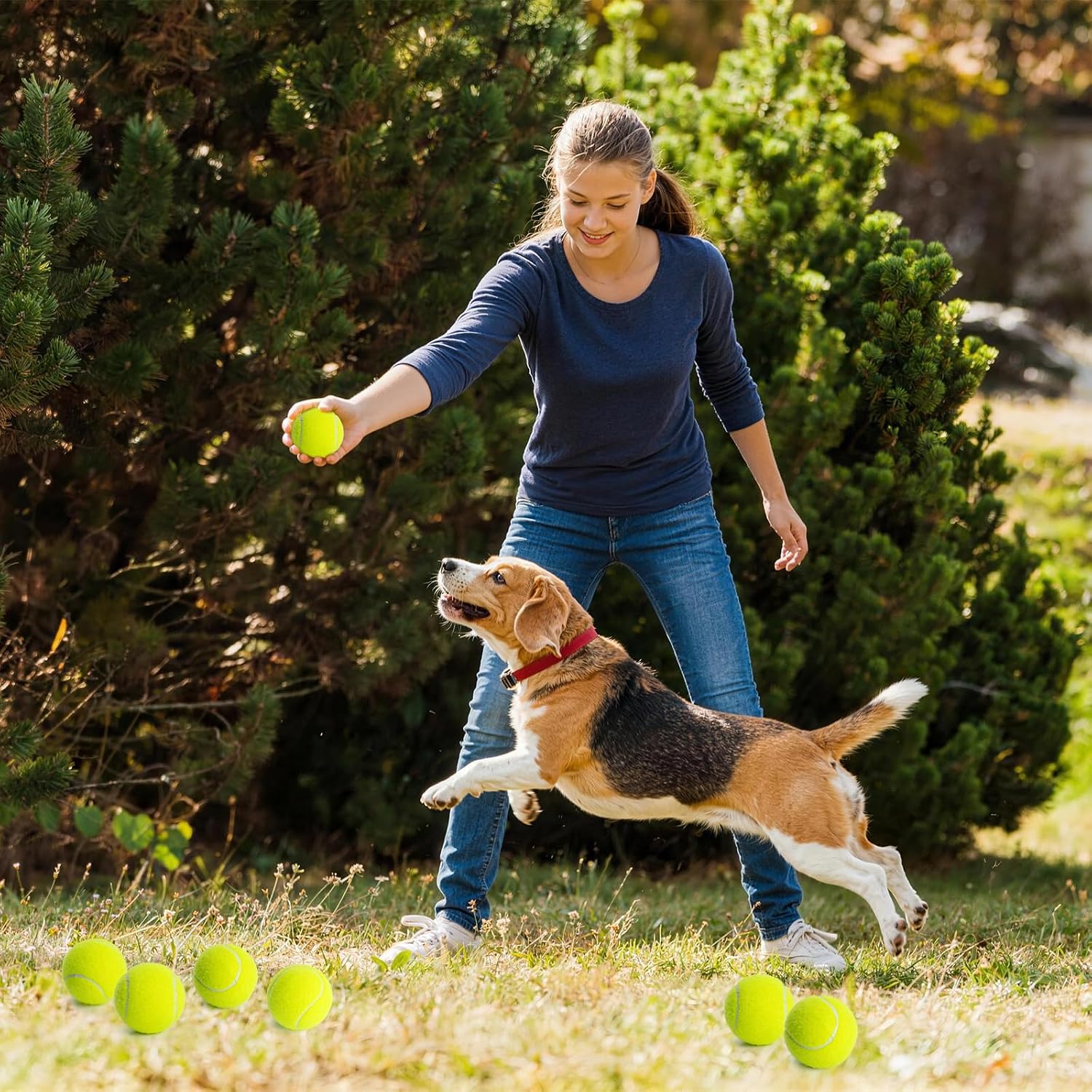 Treeroot 16/30/40/60/80 Pcs Tennis Balls, High Elasticity Tennis Balls Bulk, Comes with a Portable Mesh Bag, Tennis Ball for Dogs, Suitable for Beginner Training Ball, Durable & Bounce - Image 9