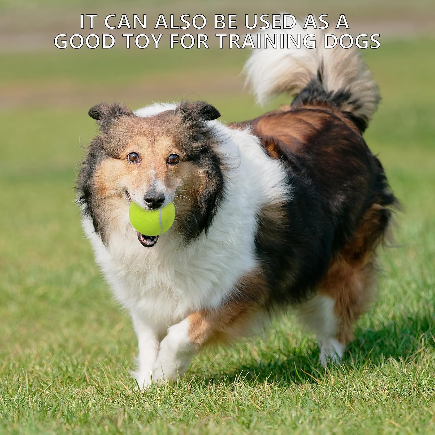 SHYUJAJIE Tennis Balls, 20 Pack Training Tennis Balls,High Elasticity Practice Tennis for Beginner, Exercise Playing Balls for Pet Dog - Image 9