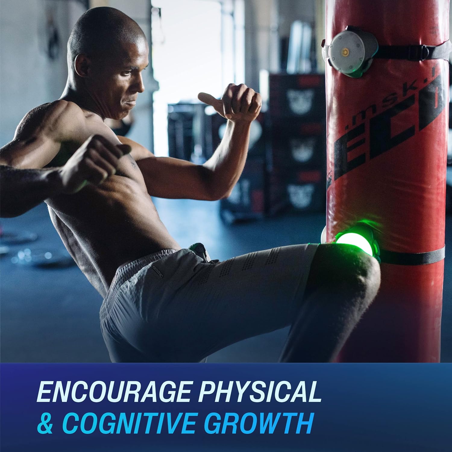 BlazePod Reaction Training Platform for Boxing & All Combat Sports. Attack, Defend and Navigate The Ring, Mat and Octagon Better Than Ever to Win Every Fight - Image 2