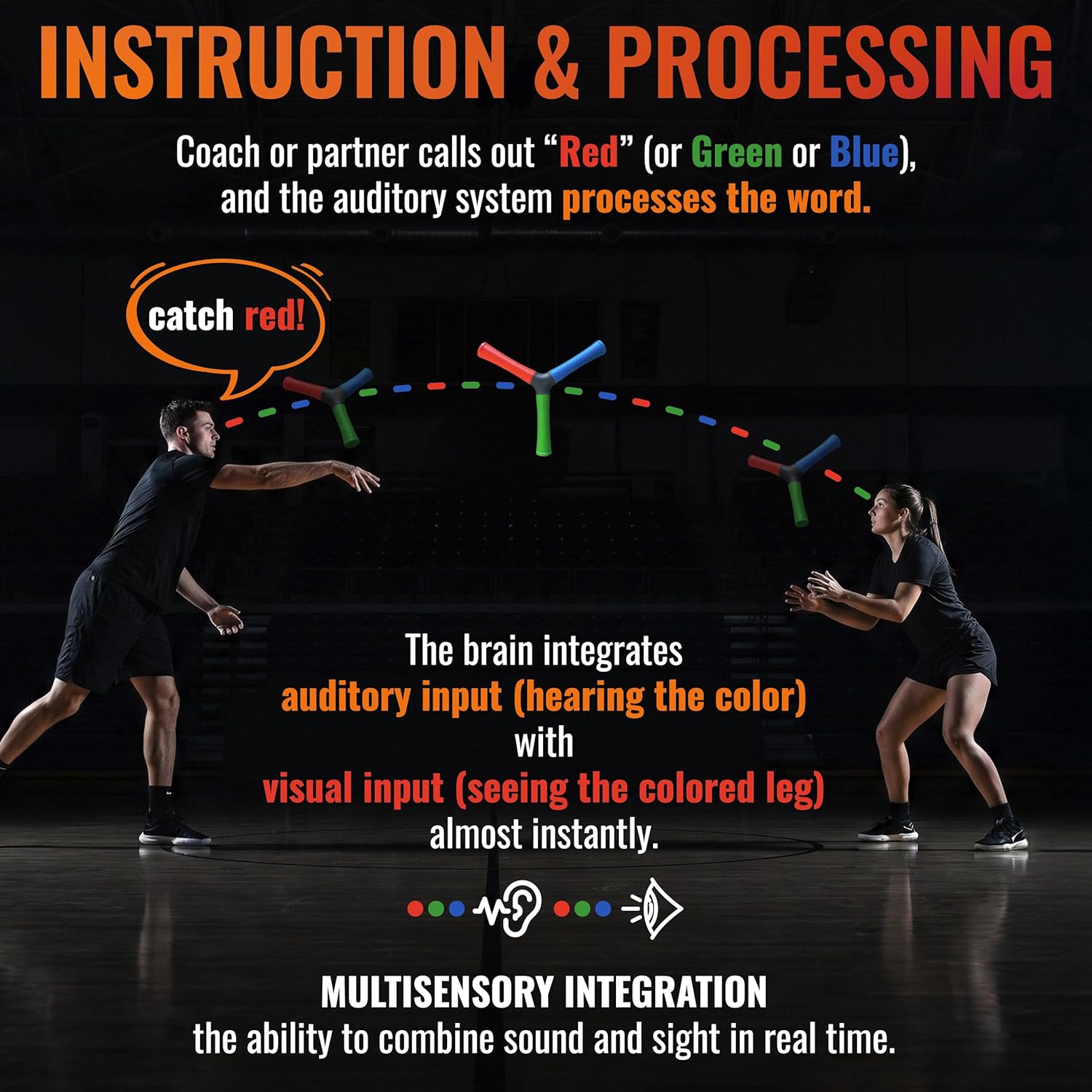 HECOstix Hand-Eye Coordination Trainer (Red/Green/Blue) – Reaction Time & Reflex Tool with Removable Legs | Improves Agility, Focus, & Multisensory Skills | Sports, Fitness, & Fun | All Ages - Image 3