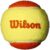 Wilson Sporting Goods Youth Tennis
