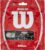 WILSON Natural Gut Tennis String – Set, White