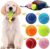 Swingers Squeaky Tennis Balls for Dogs,2.5 inch Training Tennis Balls,Exercise Ball for Pet Dog with Mesh Carry Bag Easy to Transport (Multicolor, 6 Pack)
