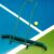 Leyndo Sport Tennis Court Squeegee 55.1×9.5×46.5 Inches Floor Squeegee Heavy Duty with Handle Aluminium Alloy, Green Wheel Commercial Water Remover Professional Accessories Squeegee Broom