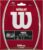 WILSON Natural Gut Tennis String – Set, White